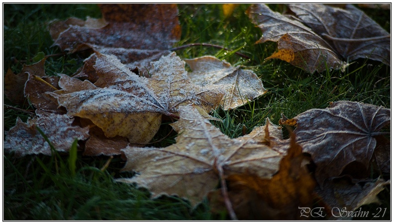 åsa-20211013-DSC 0739