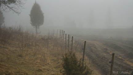 dimma-20230412-DSC 5898
