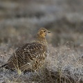 20070422DSC 6750